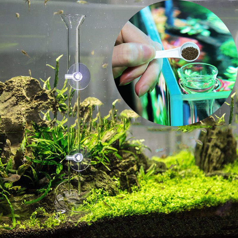 แก้ว Aquarium หลอดป้อนอาหารจาน - Meal Prep Glass บทวิจารณ์และราคา